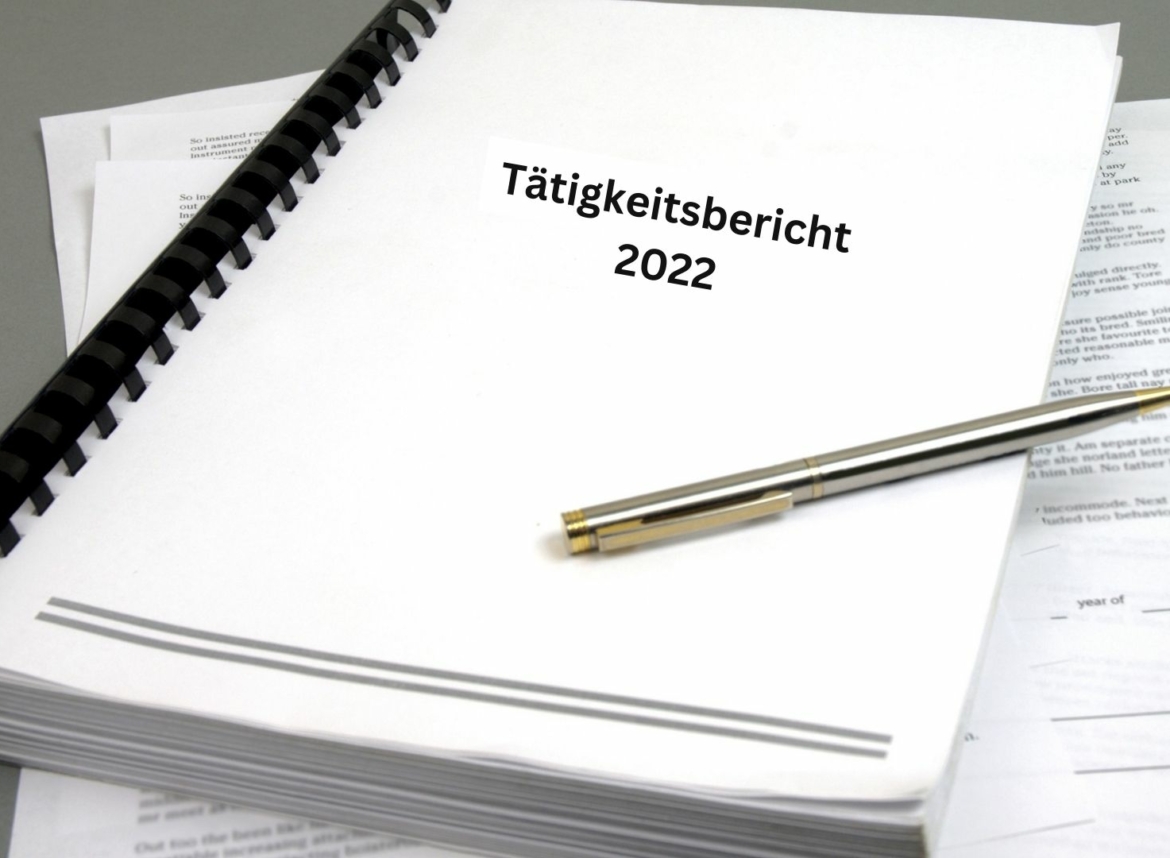 Taetigkeitsbericht Bezirksamt Wandsbek