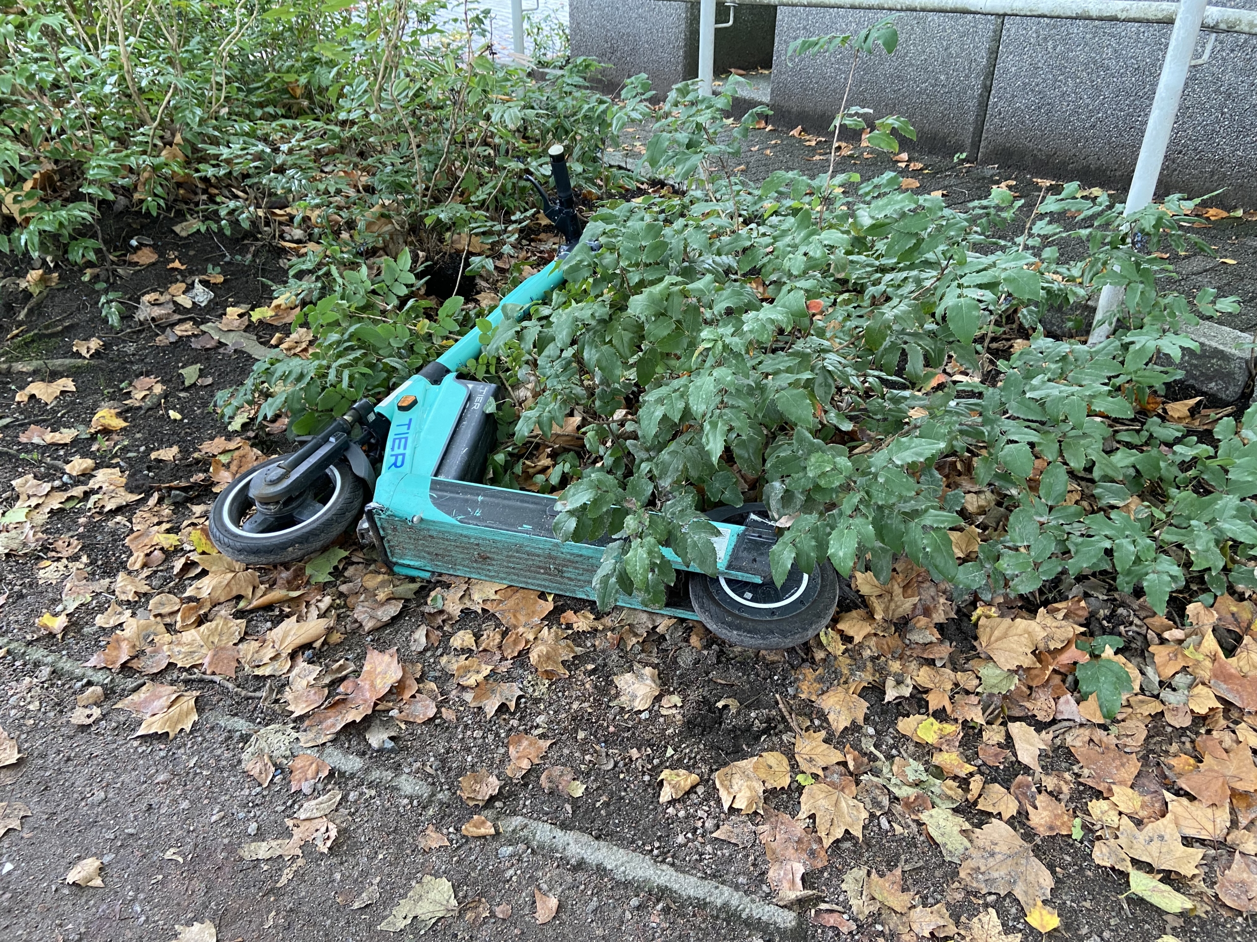 Keine Lösung für E-Scooter Problem