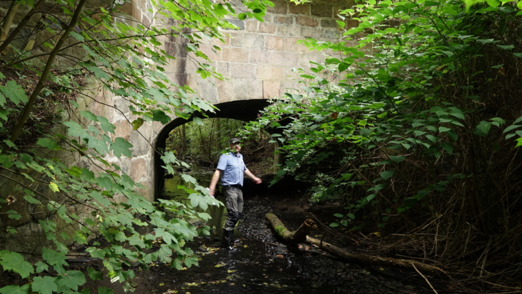 Historische Brücke Wandse